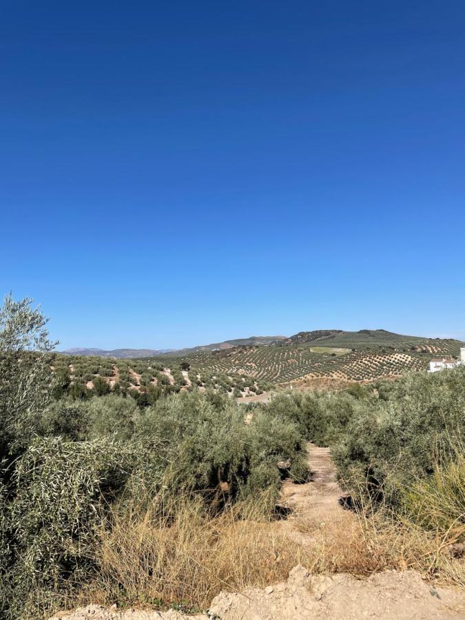Villa Lafrenchtouch - Relajate Y Desconecta Al Pueblo Villanueva de Tapia Exterior foto